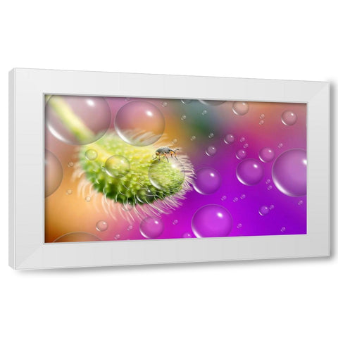 Explorer Of The UnIVerse... White Modern Wood Framed Art Print by Dufour, Thierry