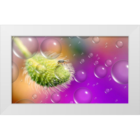 Explorer Of The UnIVerse... White Modern Wood Framed Art Print by Dufour, Thierry