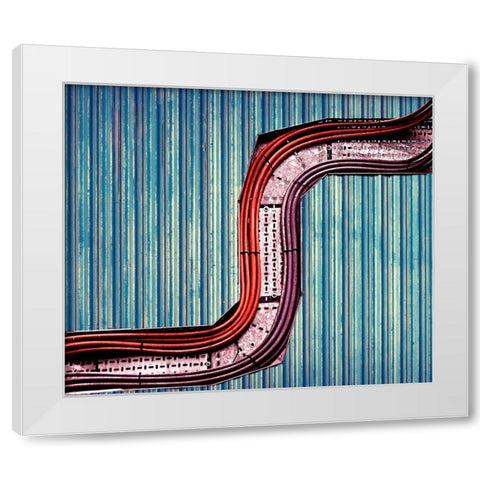 Snake White Modern Wood Framed Art Print by Thomas, Gareth