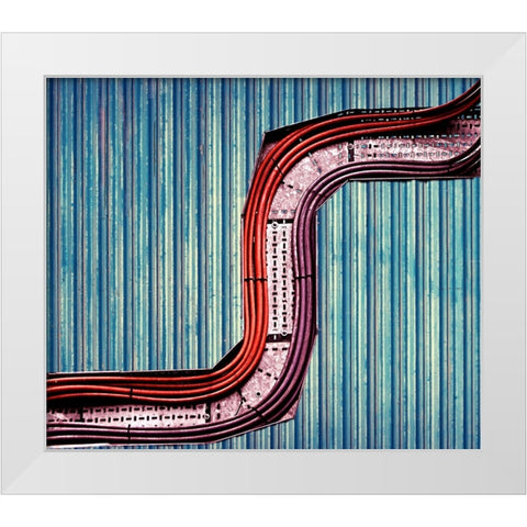 Snake White Modern Wood Framed Art Print by Thomas, Gareth