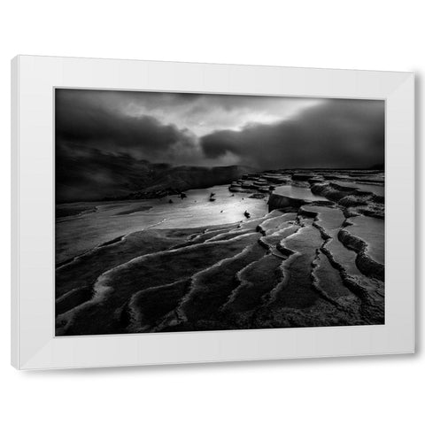 Lord Of Nature White Modern Wood Framed Art Print by Arabzadeh, Abbas