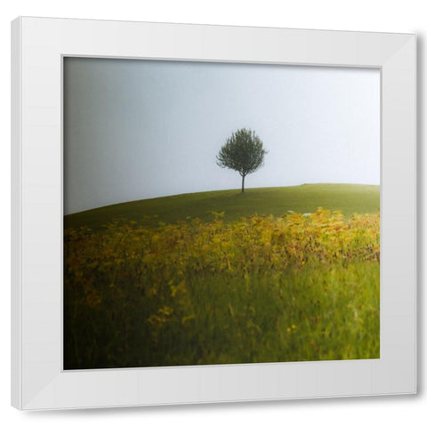 A Summer Day In August White Modern Wood Framed Art Print by Wasinger, Renate