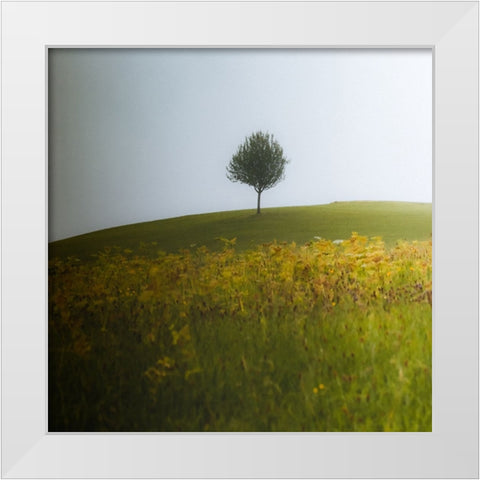 A Summer Day In August White Modern Wood Framed Art Print by Wasinger, Renate