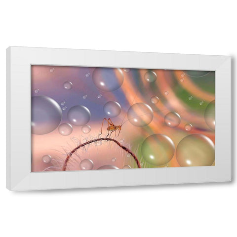 Last Rays Of Sun... White Modern Wood Framed Art Print by Dufour, Thierry