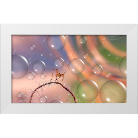 Last Rays Of Sun... White Modern Wood Framed Art Print by Dufour, Thierry