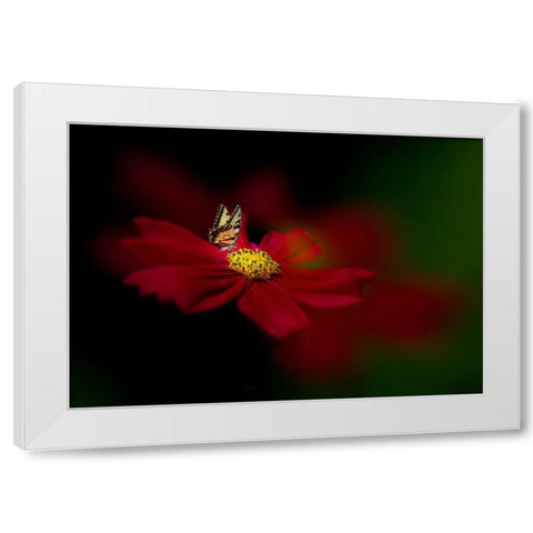 Butterfly Love Flower White Modern Wood Framed Art Print by Ren, Yuzheng