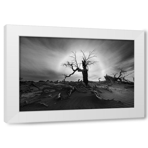 Solar Halo White Modern Wood Framed Art Print by Liao, Yuhan