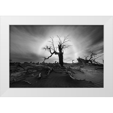 Solar Halo White Modern Wood Framed Art Print by Liao, Yuhan