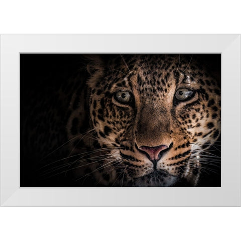 Hunter .. White Modern Wood Framed Art Print by Zaeitar, Ahmed
