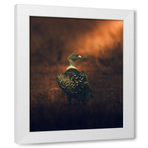 Stay Tuned White Modern Wood Framed Art Print by Sobhi, Ahmed