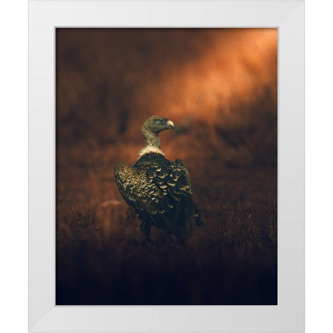 Stay Tuned White Modern Wood Framed Art Print by Sobhi, Ahmed