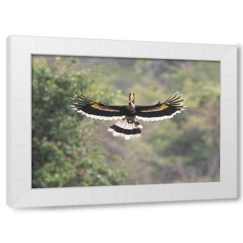 A Feast For The Junior White Modern Wood Framed Art Print by Chang, Cheng