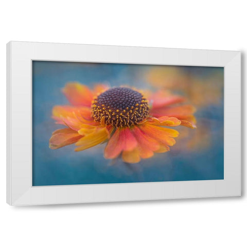 Summer Joy White Modern Wood Framed Art Print by Jacobs, Lydia