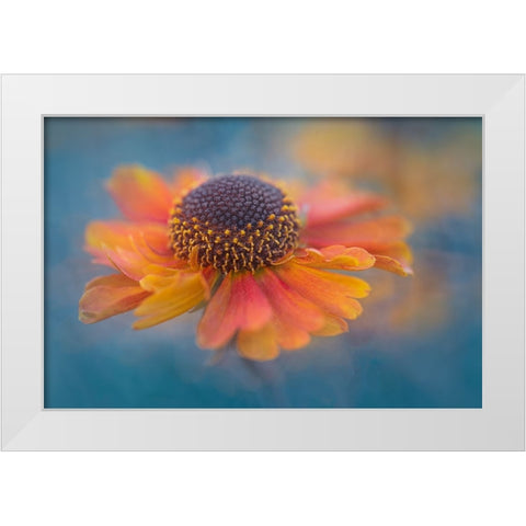 Summer Joy White Modern Wood Framed Art Print by Jacobs, Lydia