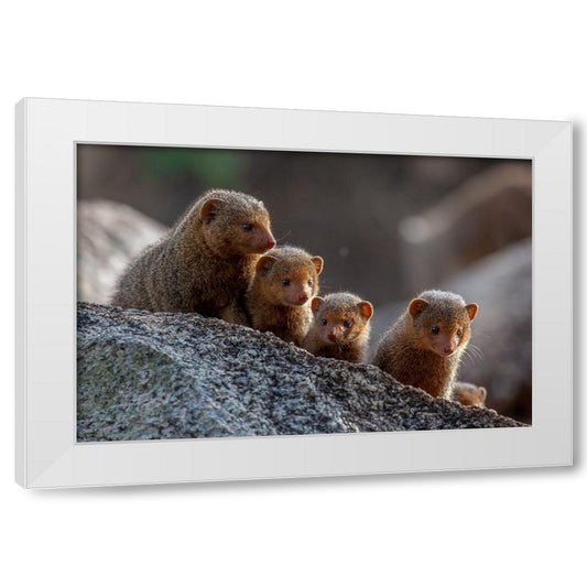 Perspective Image