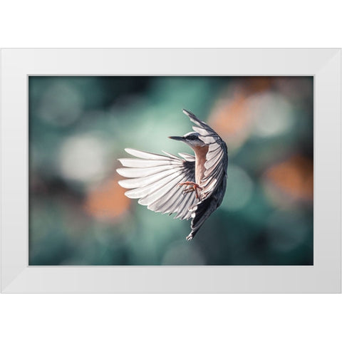 Dynamic Wings White Modern Wood Framed Art Print by Colemont, Niki