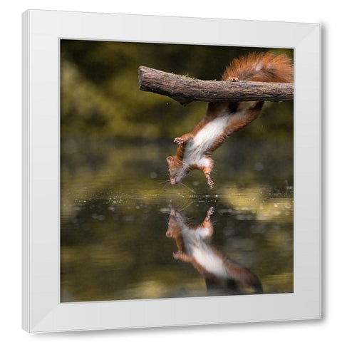 Mirrorless White Modern Wood Framed Art Print by Colemont, Niki