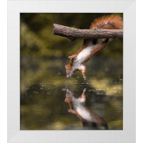 Mirrorless White Modern Wood Framed Art Print by Colemont, Niki