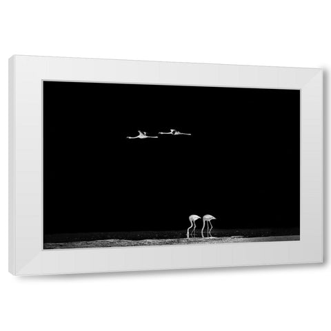 The World Of Couples White Modern Wood Framed Art Print by Jin, Jie