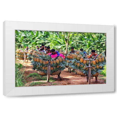 Ripe Pineapple White Modern Wood Framed Art Print by Rahman Nasim, Mostafijur