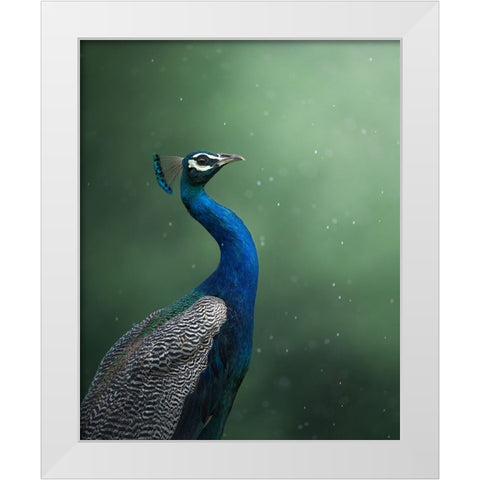 Crowned Onlooker White Modern Wood Framed Art Print by Rawat, Chaitanya