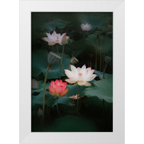 Lotus White Modern Wood Framed Art Print by Kim, Youngil