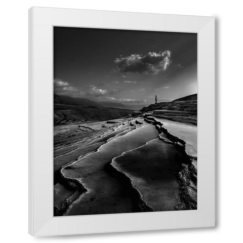 Lord Of Nature White Modern Wood Framed Art Print by Arabzadeh, Abbas