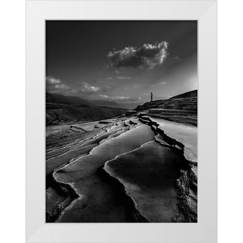 Lord Of Nature White Modern Wood Framed Art Print by Arabzadeh, Abbas