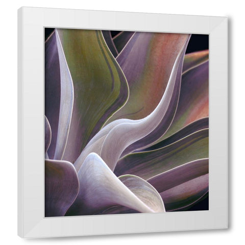 Agave Summer Abstract White Modern Wood Framed Art Print by Wechsler, Robin
