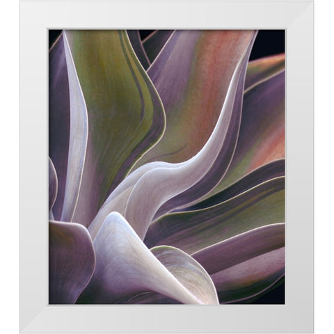Agave Summer Abstract White Modern Wood Framed Art Print by Wechsler, Robin
