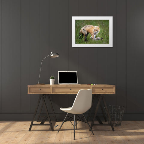Foxes White Modern Wood Framed Art Print by Ji, Shirley