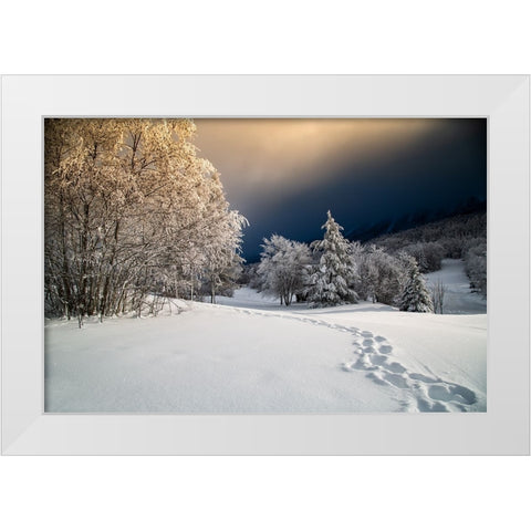 Path White Modern Wood Framed Art Print by Baudot, Christophe