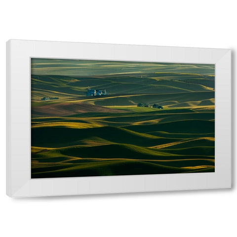 Palouse Wheat Fields White Modern Wood Framed Art Print by Dickau, Kristel