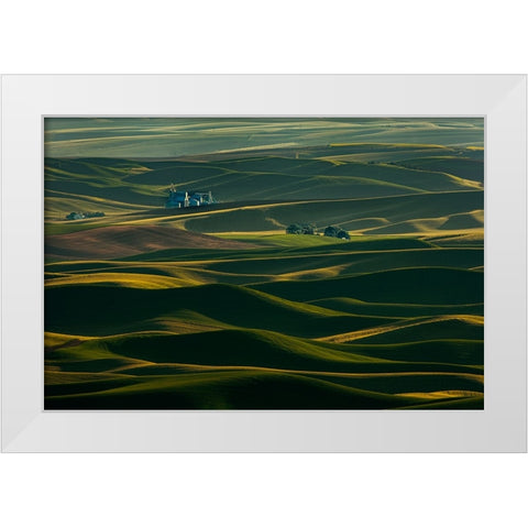 Palouse Wheat Fields White Modern Wood Framed Art Print by Dickau, Kristel