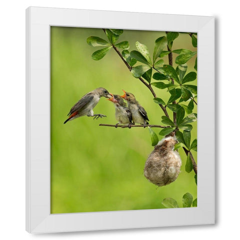 MotherS Love 2 White Modern Wood Framed Art Print by Muliani Hartojo, Angela