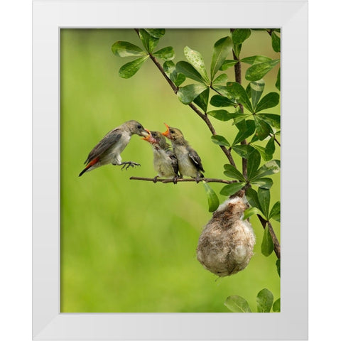 MotherS Love 2 White Modern Wood Framed Art Print by Muliani Hartojo, Angela