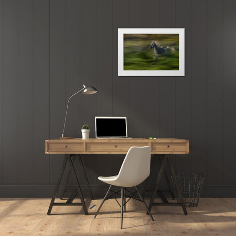 Galloping White Modern Wood Framed Art Print by Malovrh, Milan
