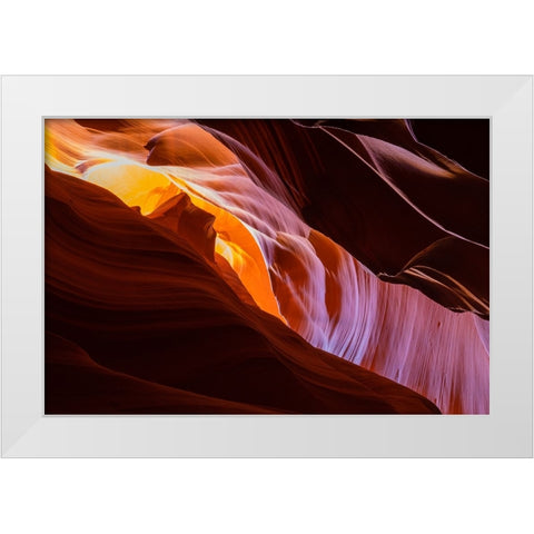 Nature Magic White Modern Wood Framed Art Print by Tan, June