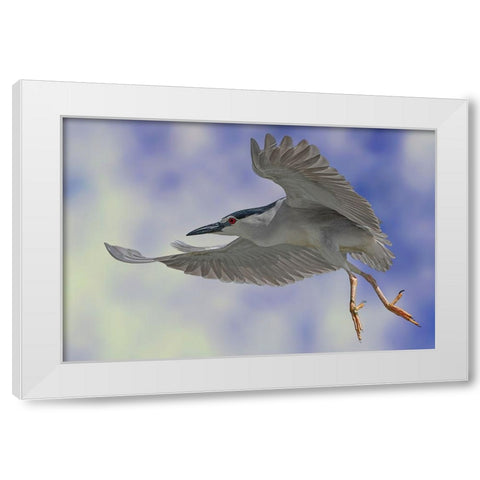 Night Heron Dance White Modern Wood Framed Art Print by Eman Elghazzawy, Dr.