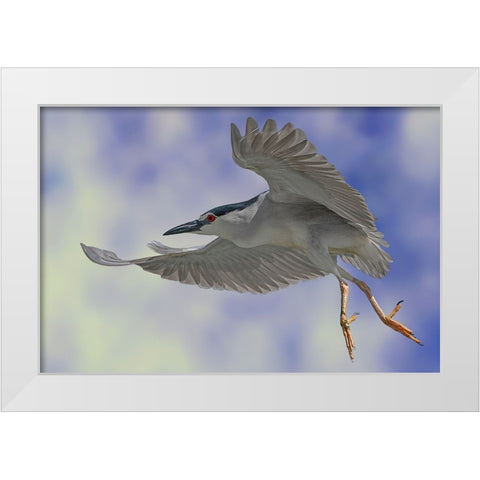 Night Heron Dance White Modern Wood Framed Art Print by Eman Elghazzawy, Dr.