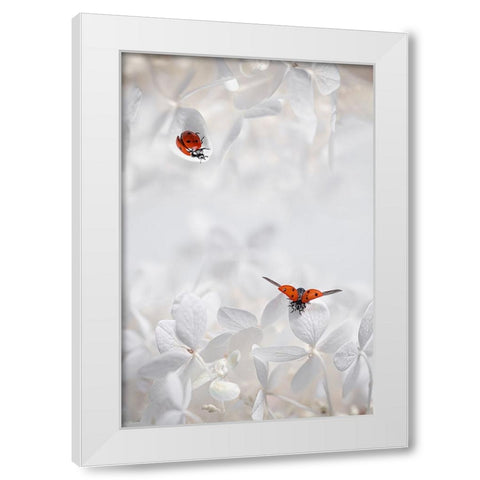 Ladybug Among Flowers White Modern Wood Framed Art Print by Jacobs, Lydia