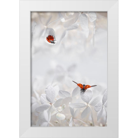 Ladybug Among Flowers White Modern Wood Framed Art Print by Jacobs, Lydia