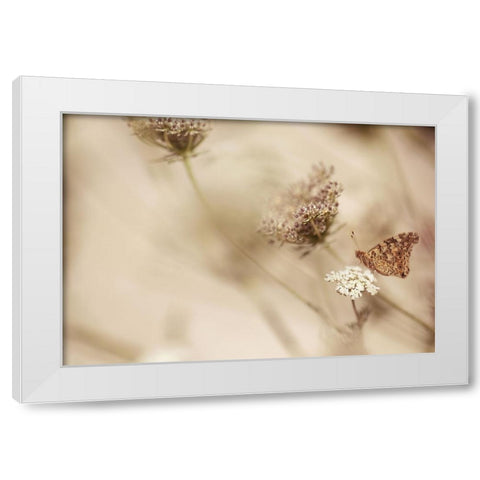 Butterfly White Modern Wood Framed Art Print by van Deelen, Ellen