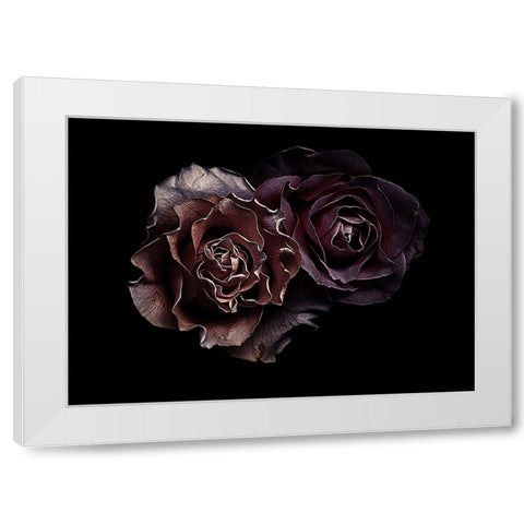 Roses White Modern Wood Framed Art Print by Julie, Angel