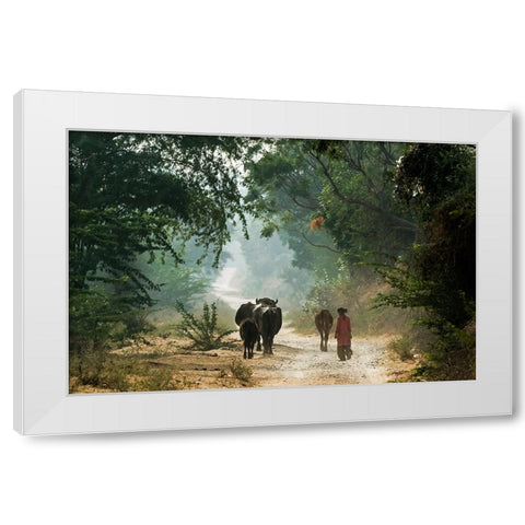 On The Road White Modern Wood Framed Art Print by Damico, Giuseppe