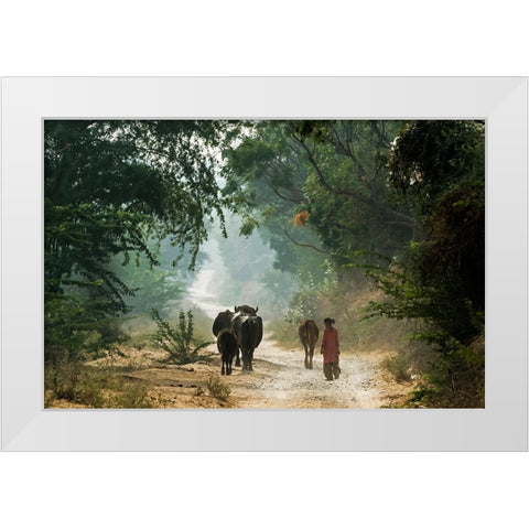 On The Road White Modern Wood Framed Art Print by Damico, Giuseppe