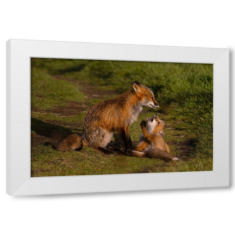 Mom Listen To Me White Modern Wood Framed Art Print by Donnahom