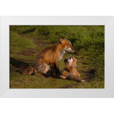 Mom Listen To Me White Modern Wood Framed Art Print by Donnahom