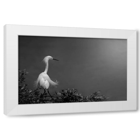 Head-Turner White Modern Wood Framed Art Print by Pan, Yi