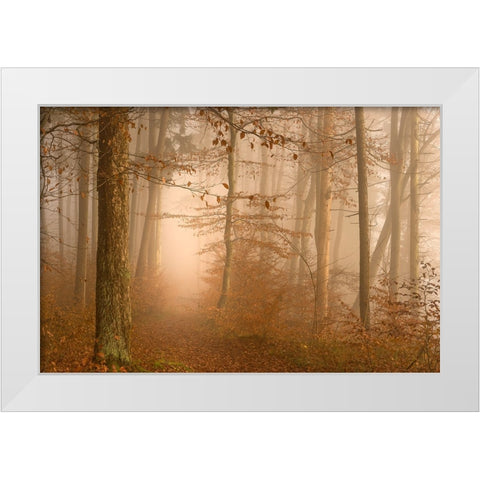 A year has gone White Modern Wood Framed Art Print by Maier, Norbert